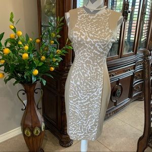Calvin Klein | animal print colorblock scuba dress size 8